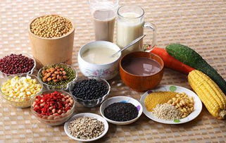 豆類食品的制作藝術(shù)與電子產(chǎn)品的科技交融