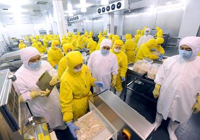 河南強(qiáng)化出口禽肉全過程質(zhì)量監(jiān)督，以電子化監(jiān)管模式提升食品安全水平